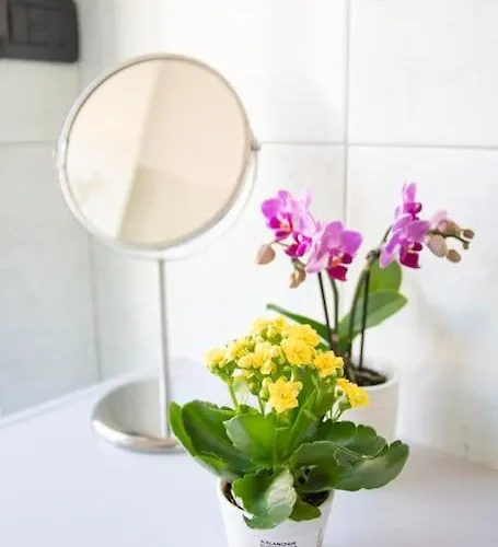 Bellarichetta - Sweethomequiet Apartament *